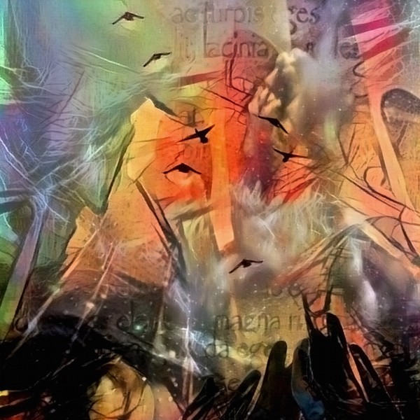 To the Sky by Bruce Rolff